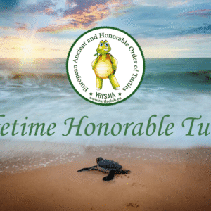Lifetime Honorable Turtle